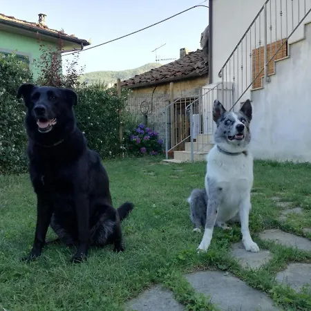 Bed & Breakfast Via Di Mezzo
